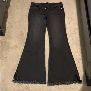 Express bell bottom jeans